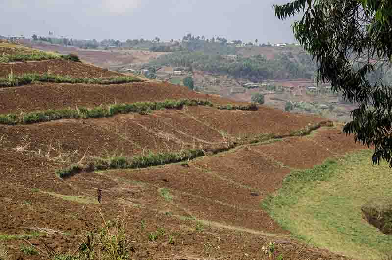 60 - Ruanda - paisaje
